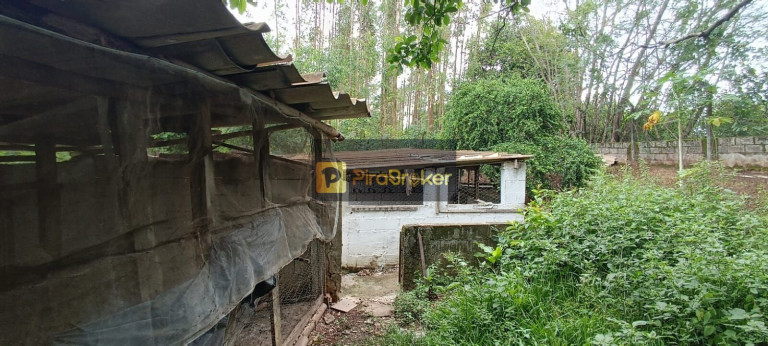 Imagem Imóvel com 7 Quartos à Venda, 38.588 m² em Santa Luzia - Charqueada Imagem Imóvel com 7 Quartos à Venda, 38.588 m² em Santa Luzia - Charqueada
