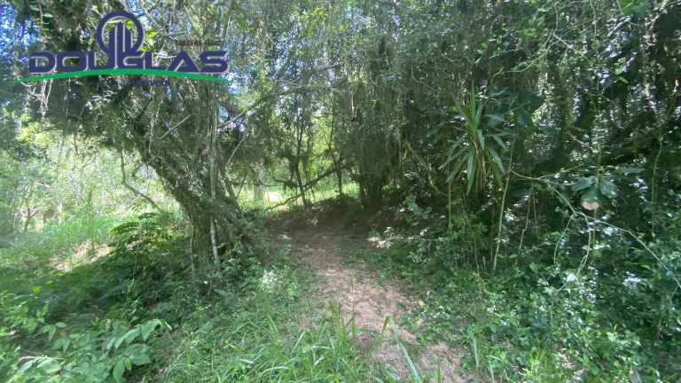 Imagem Terreno à Venda, 5.000 m² em Viamão