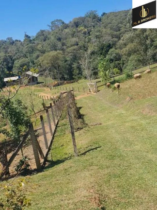 Imagem Imóvel com 4 Quartos à Venda, 46.000 m² em Freguesia Dos Laras - Campo Magro Imagem Imóvel com 4 Quartos à Venda, 46.000 m² em Freguesia Dos Laras - Campo Magro