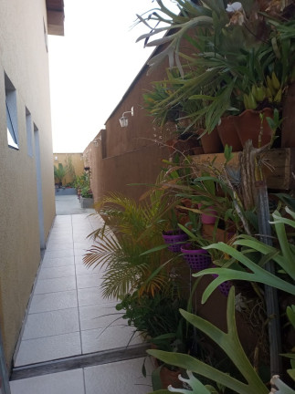 Imagem Sobrado com 3 Quartos à Venda, em Vila Brasilina - São Paulo Imagem Sobrado com 3 Quartos à Venda, em Vila Brasilina - São Paulo