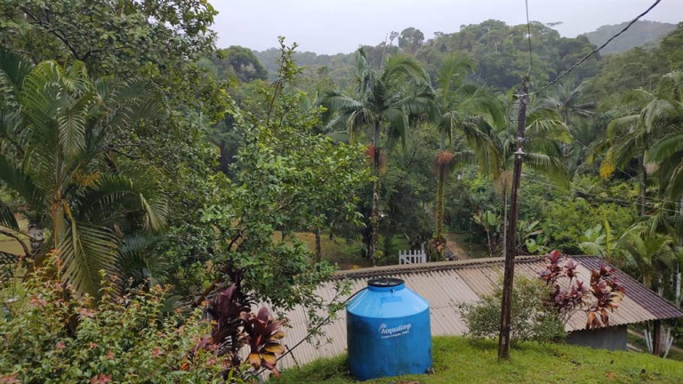 Imagem Imóvel à Venda, em Santa Rita - Miracatu Imagem Imóvel à Venda, em Santa Rita - Miracatu