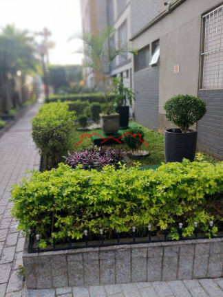 Imagem Apartamento com 2 Quartos à Venda, 50 m² em Capela Do Socorro - São Paulo Imagem Apartamento com 2 Quartos à Venda, 50 m² em Capela Do Socorro - São Paulo