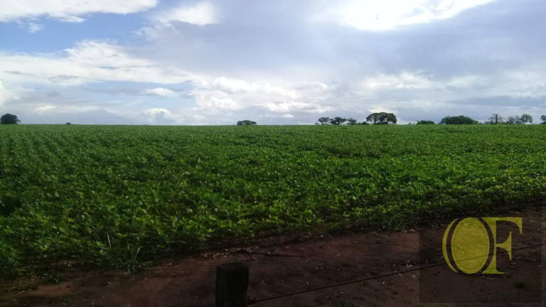 Imagem Fazenda à Venda, 75 m² em Rural - Paranapanema Imagem Fazenda à Venda, 75 m² em Rural - Paranapanema