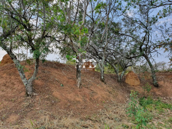 Imagem Imóvel à Venda, 25.068 m² em Atras Da Indústria Kels - Artur Nogueira Imagem Imóvel à Venda, 25.068 m² em Atras Da Indústria Kels - Artur Nogueira