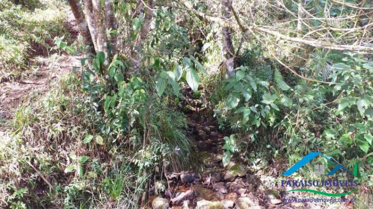 Imagem Terreno à Venda, 113.740 m² em Centro - Gonçalves