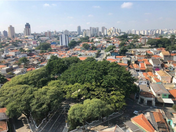 Imagem Apartamento com 2 Quartos à Venda, 50 m² em Quinta Da Paineira - São Paulo