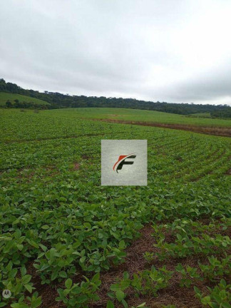 Imagem Fazenda à Venda, 726.000 m² em Jardim Vitória - Turvo Imagem Fazenda à Venda, 726.000 m² em Jardim Vitória - Turvo