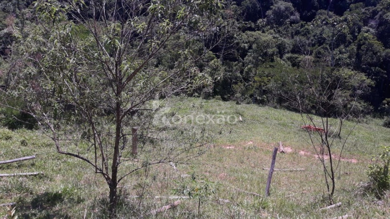 Imagem Chácara com 3 Quartos à Venda, 200 m² em Morro Azul - Paraibuna Imagem Chácara com 3 Quartos à Venda, 200 m² em Morro Azul - Paraibuna