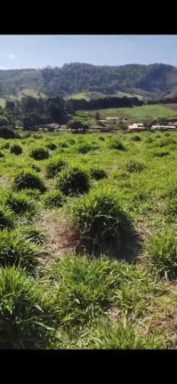 Imagem Terreno à Venda, 10.000 m² em Centro - Santa Branca