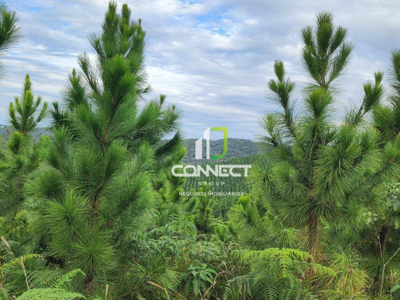Imagem Fazenda à Venda, 4.477.000 m² em Zona Rural - Bocaiúva Do Sul