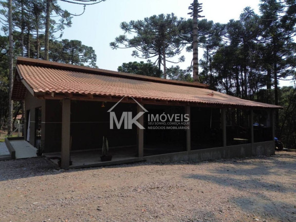 Imagem Chácara com 3 Quartos à Venda, 190 m² em Marmeleiro - Piraquara Imagem Chácara com 3 Quartos à Venda, 190 m² em Marmeleiro - Piraquara