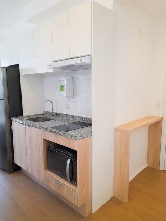 Imagem Apartamento com 1 Quarto para Alugar, 27 m² em Jardim Paulistano - São Paulo