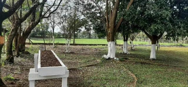 Imagem Chácara com 3 Quartos à Venda, 31.000 m² em Centro - Tamarana Imagem Chácara com 3 Quartos à Venda, 31.000 m² em Centro - Tamarana
