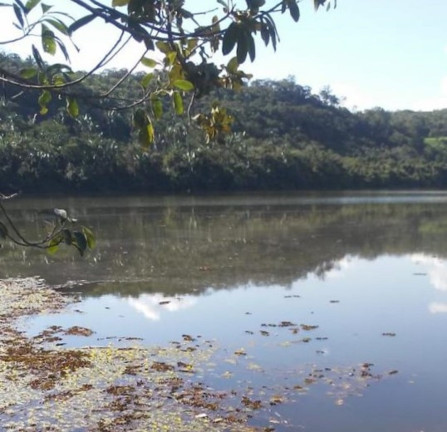 Imagem Imóvel à Venda,  em Região Central Do Tocantins - Pedro Afonso