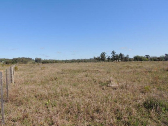 Imagem Terreno à Venda, 1.000 m² em Morro Grande - Viamão Imagem Terreno à Venda, 1.000 m² em Morro Grande - Viamão