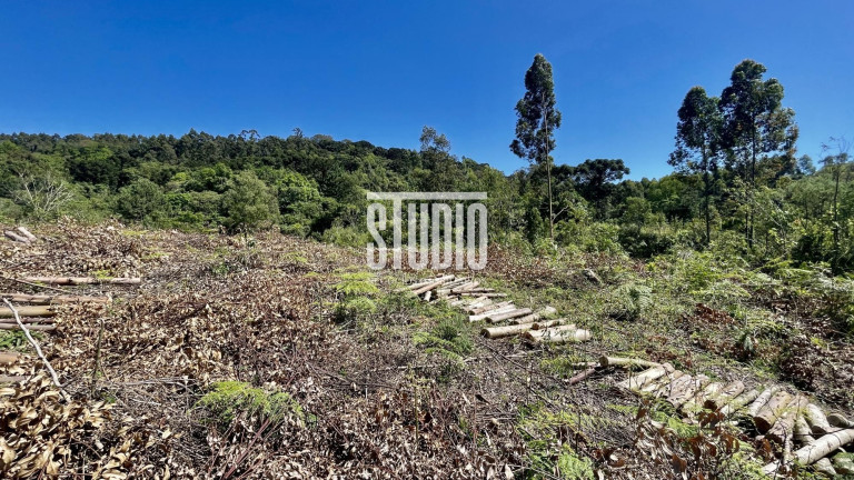 Imagem Terreno à Venda, 11.990 m² em Operário - Barão Imagem Terreno à Venda, 11.990 m² em Operário - Barão