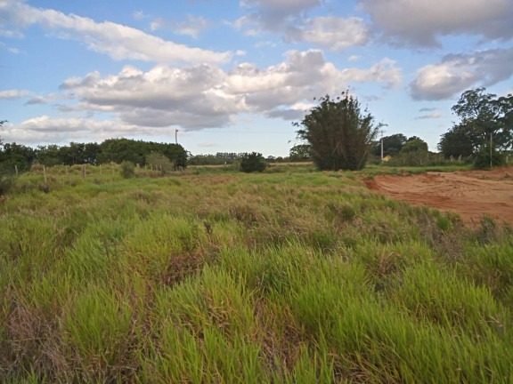 Imagem Chácara à Venda, 20.000 m² em águas Claras - Viamão