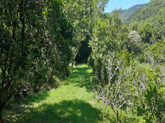 Imagem Imóvel com 2 Quartos à Venda, 11 m² em Linha Pirajá Baixa - Nova Petrópolis Imagem Imóvel com 2 Quartos à Venda, 11 m² em Linha Pirajá Baixa - Nova Petrópolis