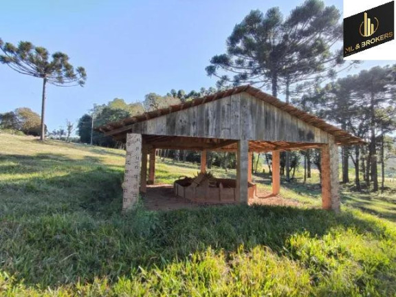 Imagem Imóvel com 2 Quartos à Venda, 20.000 m² em Zona Rural - Balsa Nova Imagem Imóvel com 2 Quartos à Venda, 20.000 m² em Zona Rural - Balsa Nova