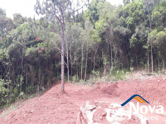 Imagem Imóvel à Venda, 31.701 m² em Linha Pirajá Baixa - Nova Petrópolis Imagem Imóvel à Venda, 31.701 m² em Linha Pirajá Baixa - Nova Petrópolis