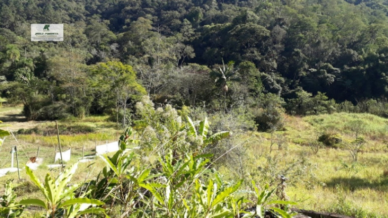 Imagem Terreno à Venda, 1.400 m² em Caete (mailasqui) - São Roque Imagem Terreno à Venda, 1.400 m² em Caete (mailasqui) - São Roque