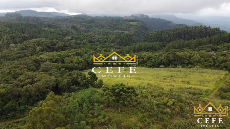 Imagem Sala Comercial à Venda, 200 m² em Serra Grande - Três Coroas
