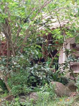Imagem Chácara com 5 Quartos à Venda, 256 m² em Papucaia - Cachoeiras De Macacu