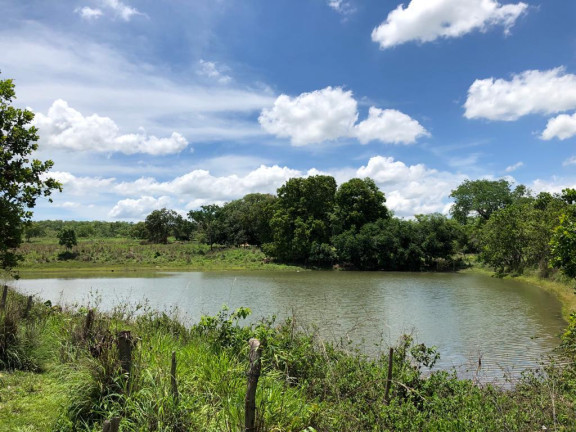 Fazenda à Venda,  em Rural - Figueirópolis