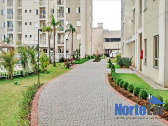 Imagem Apartamento com 3 Quartos à Venda, 70 m² em água Branca - São Paulo Imagem Apartamento com 3 Quartos à Venda, 70 m² em água Branca - São Paulo