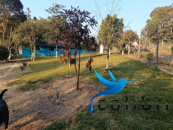 Imagem Chácara com 2 Quartos à Venda, 6.890 m² em Pavãozinho - Agudos Do Sul Imagem Chácara com 2 Quartos à Venda, 6.890 m² em Pavãozinho - Agudos Do Sul