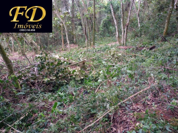 Imagem Terreno à Venda, 350 m² em Parque Cabreúva - Mairiporã