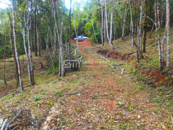 Imagem Imóvel com 1 Quarto à Venda, 5.000 m² em Casa Montanha - Delfim Moreira Imagem Imóvel com 1 Quarto à Venda, 5.000 m² em Casa Montanha - Delfim Moreira