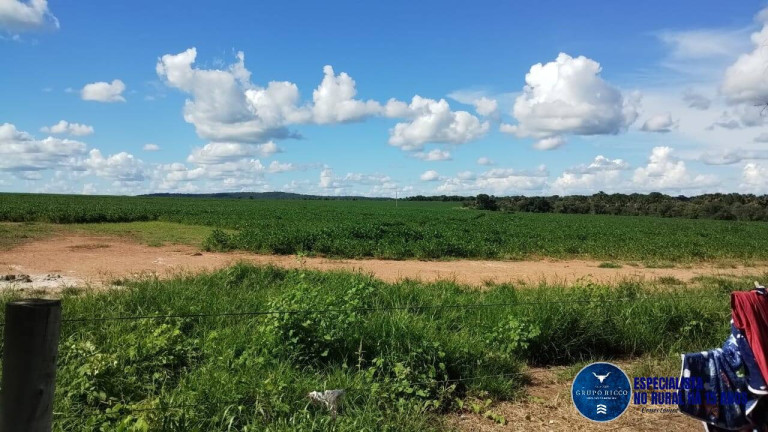 Imagem Fazenda à Venda, 69 m² em Zona Rural - Fazenda Nova Imagem Fazenda à Venda, 69 m² em Zona Rural - Fazenda Nova