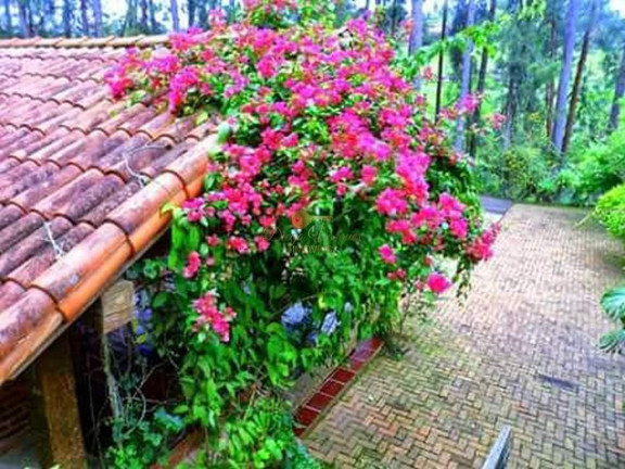 Imagem Casa com 4 Quartos à Venda, 5.100 m² em Santa Rita - Teresópolis Imagem Casa com 4 Quartos à Venda, 5.100 m² em Santa Rita - Teresópolis