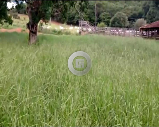 Imagem Imóvel com 5 Quartos à Venda, 100 m² em Nova Esperança - Montes Claros Imagem Imóvel com 5 Quartos à Venda, 100 m² em Nova Esperança - Montes Claros