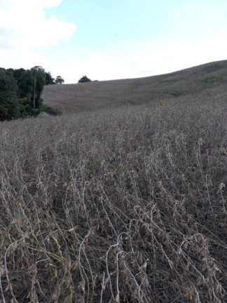 Imóvel com 3 Quartos à Venda, 120 m² em Area Rural - Lapa