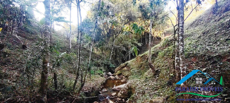 Imagem Chácara com 1 Quarto à Venda, 22 m² em Centro - Paraisópolis