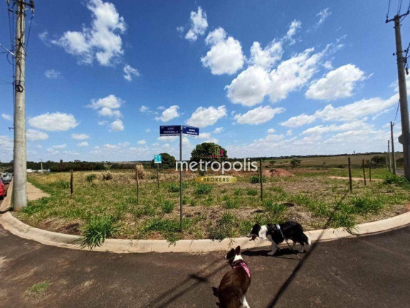 Imagem Terreno à Venda, 244 m² em Portal Do Cedro - Cedral
