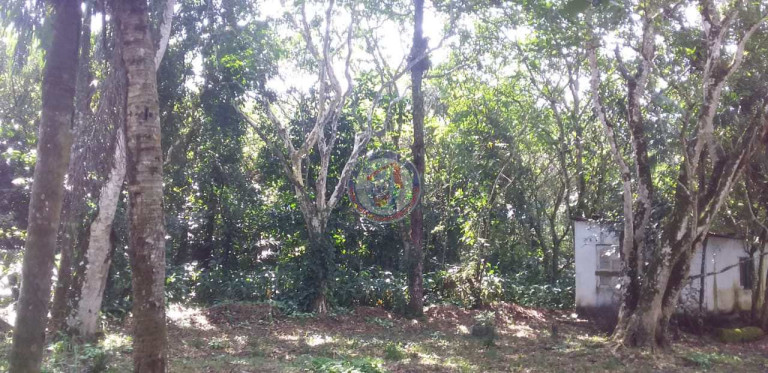 Imagem Fazenda à Venda, 5.000 m² em San Marcos - Itanhaém Imagem Fazenda à Venda, 5.000 m² em San Marcos - Itanhaém