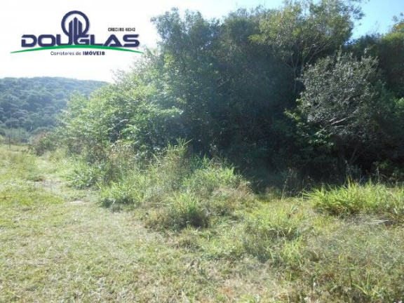 Imagem Terreno à Venda, 600 m² em águas Claras - Viamão