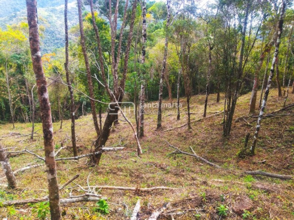 Imagem Imóvel com 1 Quarto à Venda, 5.000 m² em Casa Montanha - Delfim Moreira Imagem Imóvel com 1 Quarto à Venda, 5.000 m² em Casa Montanha - Delfim Moreira