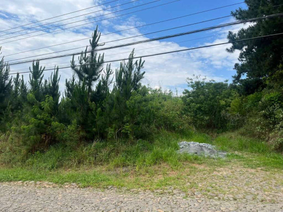 Imagem Terreno à Venda, 4.973 m² em Paisagem Renoir - Cotia