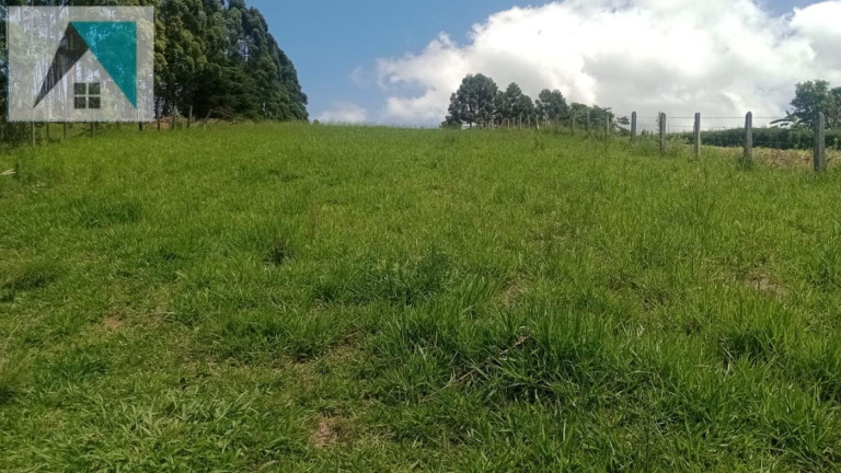Imagem Chácara à Venda, 2.000 m² em Bairro Santo Expedito - Toledo