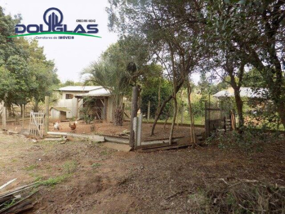 Imagem Casa com 2 Quartos à Venda, 595 m² em Viamão Imagem Casa com 2 Quartos à Venda, 595 m² em Viamão