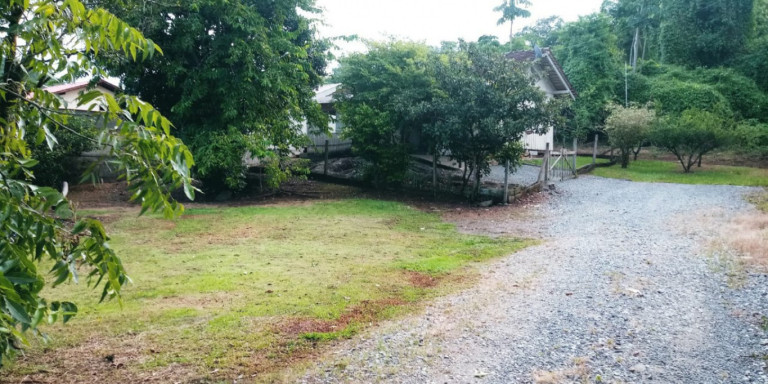 Imagem Imóvel à Venda, 2.500 m² em Itoupavazinha - Blumenau Imagem Imóvel à Venda, 2.500 m² em Itoupavazinha - Blumenau