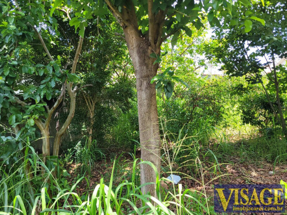 Imagem Terreno à Venda, 250 m² em Jardim Terras De São João - Jacareí Imagem Terreno à Venda, 250 m² em Jardim Terras De São João - Jacareí