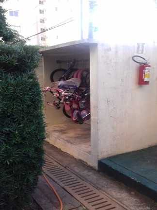 Imagem Apartamento com 3 Quartos à Venda, 65 m² em Jardim íris - São Paulo Imagem Apartamento com 3 Quartos à Venda, 65 m² em Jardim íris - São Paulo