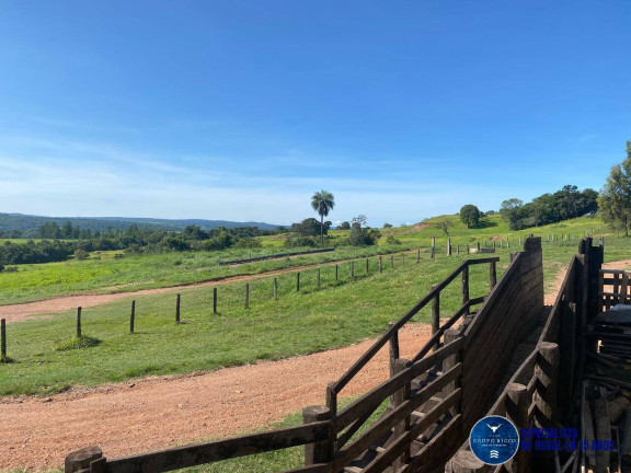 Imagem Fazenda à Venda, 214 m² em Zona Rural - Israelândia Imagem Fazenda à Venda, 214 m² em Zona Rural - Israelândia