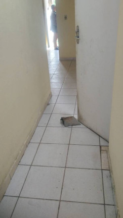 Imagem Casa com 3 Quartos à Venda, em Conceição - Diadema Imagem Casa com 3 Quartos à Venda, em Conceição - Diadema