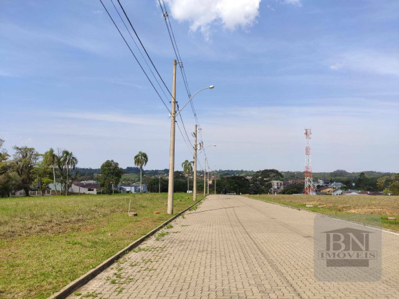 Imagem Terreno à Venda, 515 m² em Linha Santa Cruz - Santa Cruz Do Sul Imagem Terreno à Venda, 515 m² em Linha Santa Cruz - Santa Cruz Do Sul